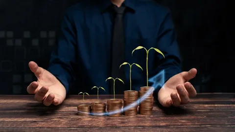 RobTheCoins Business Tips: Smart Strategies for Online Success
