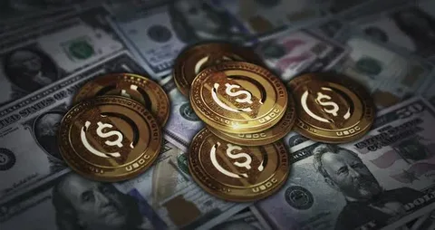 Robthecoins Business: is Changing the Digital Finance Industry